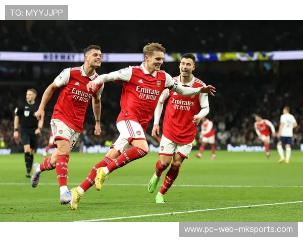 西汉姆联：欧战出色，联赛保级无忧？，西汉姆联近况