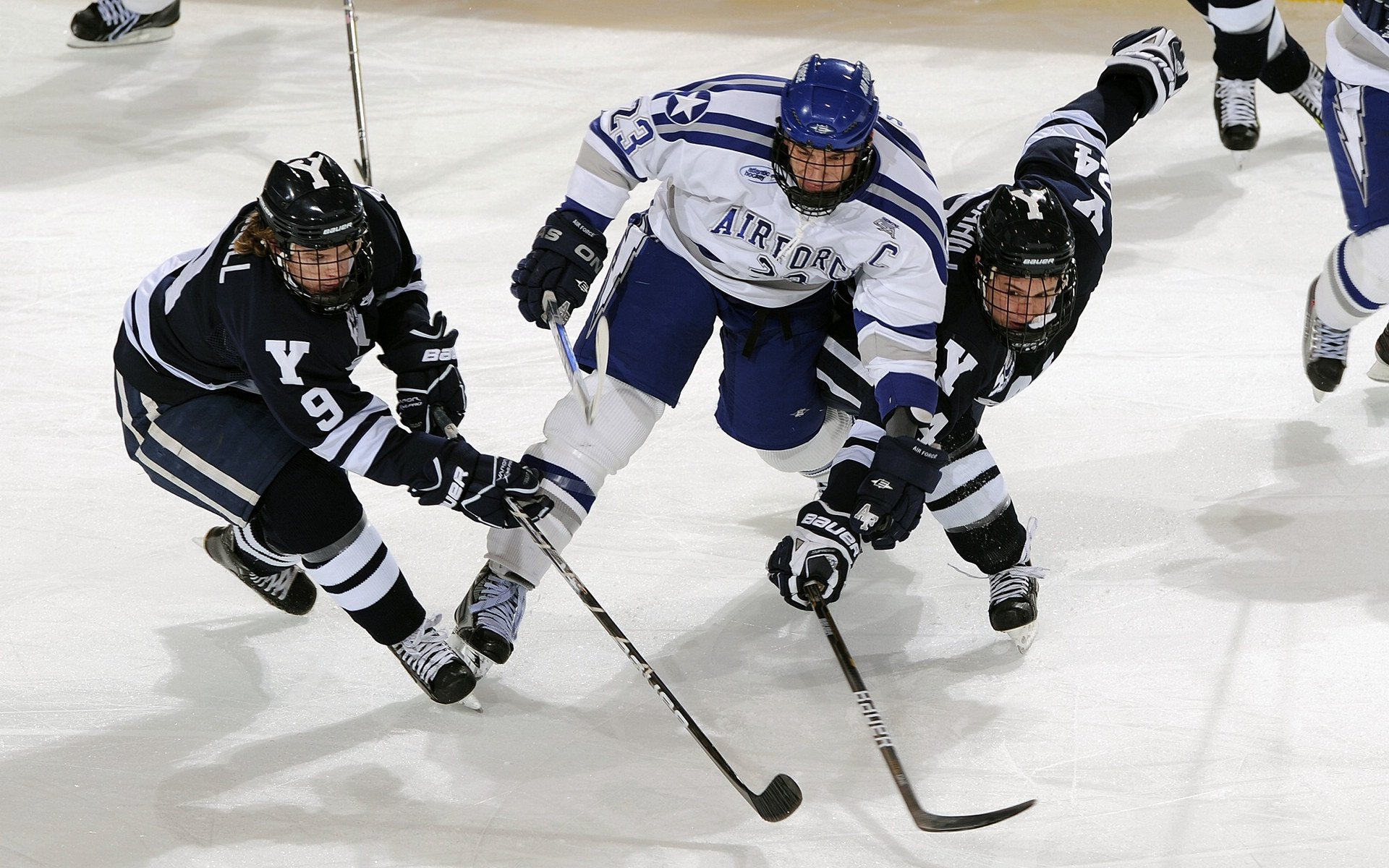 澳大利亚橄榄球赛事和青训体系助力全球球员培养，澳大利亚橄榄球队排名